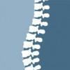 Dr. Dan Klein & Dr. Steve Fleisher: Everybody's Chiropractic