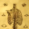 Putty Chiropractic Center