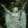 Angelic Chiropractic