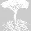 Lee Chiropractic Center
