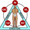 Nakajima Chiropractic Center