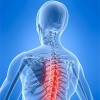Chiropractic Center Of East Hanover