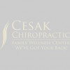 Cesak Chiropractic Family Wellness Center