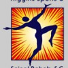Higgins Sports & Spinal Rehab, S.C