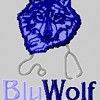 Blu Wolf Medical Chiropractic