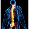 Southern Chiropractic