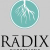Radix Chiropractic