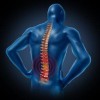 Preston Forest Chiropractic