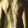 Tocco Chiropractic