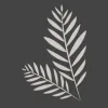 Mann Family Chiropractic