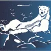 Arctic Chiropractic