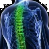 San Tan Chiropractic