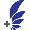 Kismet Chiropractic
