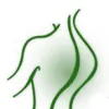 First Choice Family Chiropractic