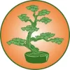 Carlson Acupuncture & Chiropractic Clinic