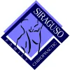 Siraguso Chiropractic