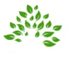 Robnak Family Chiropractic