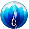 Quality Life Chiropractic