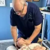 Awesome Chiropractic Care