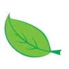New Leaf Chiropractic