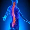 Able Monson Chiropractic Clinic