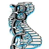 Belvidere Chiropractic Center
