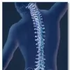 Family Life Chiropractic Clinic
