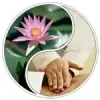 Harmony Chiropractic