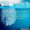 Corradino Chiropractic
