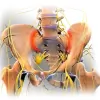 Bemis Chiropractic Center