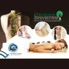 ChiroActive Therapy