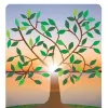 Power of Life Chiropractic