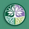 Alpharetta Family Chiropractic