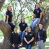 Boerne Wellness Chiropractic