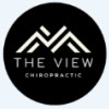 The View Chiropractic-Dr. John Steffens