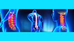 Neck and Back Pain Relief